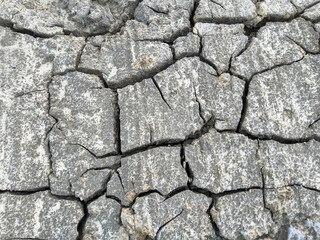 Close up Dry and cracked soil texture around a river in Pamekasan, Indonesia