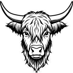 the monochrome portrait of a highland cow head, with its impressive horns and long, shaggy fur vector illustration