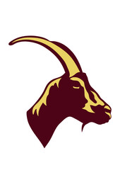 chevre animal domestique