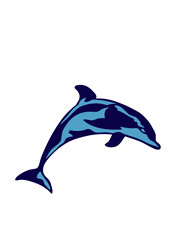 dauphin animal marin