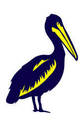 pelican oiseau sauvage