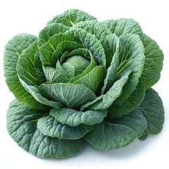 Fototapeta premium Vibrant Green Cabbage: A Fresh and Healthy Vegetable