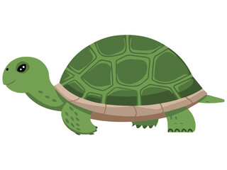 Cartoon Turtle on Hawaii Beach Vector Design