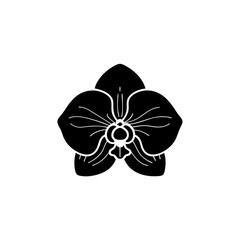 creative details orchid icon vector illustration