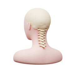 Simple Neck with Spine Line Icon for Anatomical Clarity