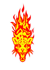panthere tete en flamme feu flame