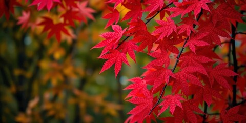 Intricate red maple leaf pattern against autumnal background, stem, autumn