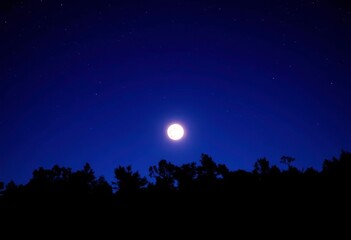 Silhouetted trees against a moonless night sky, branches, profound
