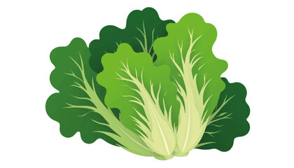 Lush green lettuce illustration on white background, healthy eating concept