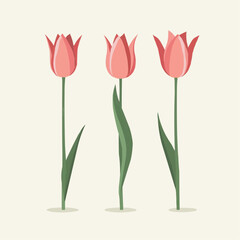 Tulpen-Illustration: Set mit f&uuml;nf verschiedenen Posen


