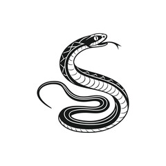 Obraz premium Black beautiful rearing snake in the shape of the snake