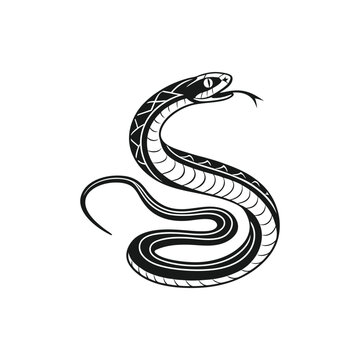 Black beautiful rearing snake in the shape of the snake