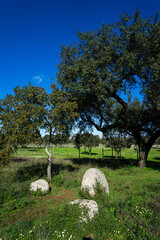 Ancient megalithic stones of the Cromeleque de Vale Maria do Meio in Évora, Alentejo, Portugal,...
