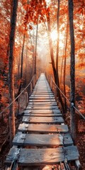 Wooden bridge in autumn forest