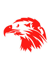 aigle royal etoile oiseaux © Scal