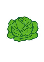chou choux legume dessin