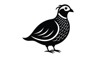 Bobwhite quail vector design silhouette, quail bird silhouette vector illustration design