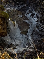 Winter Landscape: Ice on Rocks and Moss