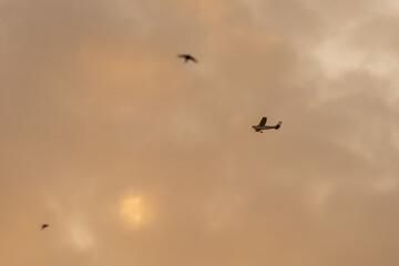 Small plane flies through a hazy, orange sky with birds..