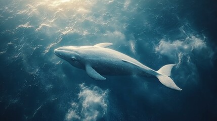 Mother Whale and Calf Underwater