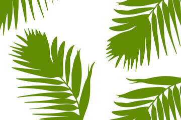 Flat Vector Illustration of a Palm Leaf
