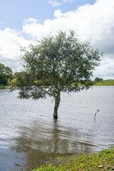 Monte Novo Dam at its maximum water level, supplying Évora, Alentejo, Portugal. A serene landscape reflecting the abundance of water in the region.