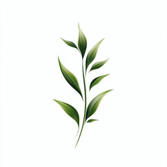Fototapeta premium Green leaf branch illustration on a clean white background 