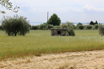 Impressionen aus Manerba del Garda am Gardasee	