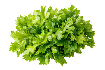 Obraz premium Fresh green parsley bunch isolated on black background, cut out