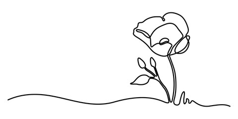 continuous single line drawing of red wild flower, colored corn poppy line art vector illustration, One line poppy flower drawing, illustration on white background ,  Hand drawn continuous.