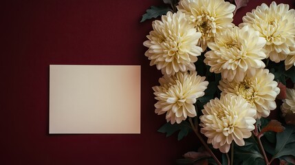 Obraz premium A soft bouquet of pale yellow chrysanthemums and a blank note paper on a deep maroon background, an elegant and thoughtful way to share congratulations.