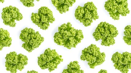 Kale Pattern on White Backdrop, Healthy Recipe Concept