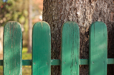 Wooden fence © Maciej Bonk