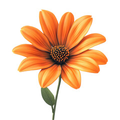 Vibrant Orange Flower Blooming Joyful Delightful Nature