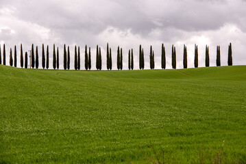 Fototapeta premium Crete Senesi, Siena, Toscana, Italia, colline toscane