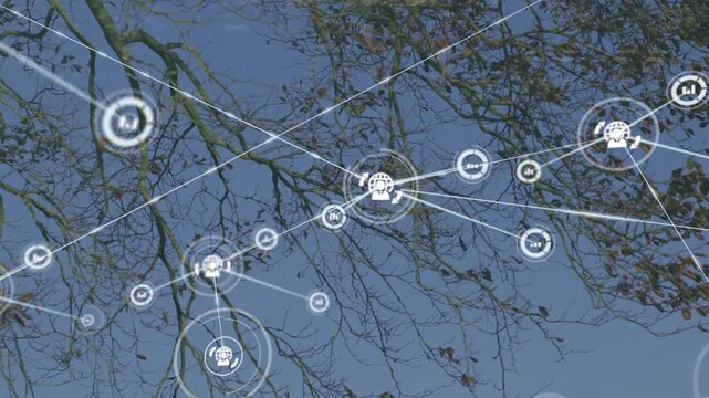 Digital animation of network connections over bare tree branches against blue sky