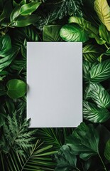 Blank paper surrounded by lush green tropical leaves.
