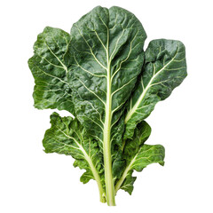 Naklejka premium Fresh collard greens on a Transparent background ready for cooking or salads at any mealtime, Collard green vegetable food ingridient White background