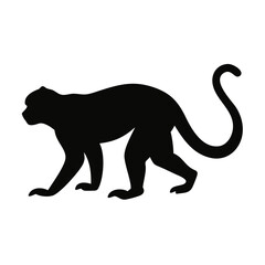 Obraz premium tamarin monkey silhouette: perfect for wildlife projects, tropical themes, educational materials, and eco-friendly branding 