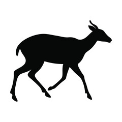 Fototapeta premium black silhouette of walking klipspringer for wildlife branding, educational designs, and creative artistic projects 