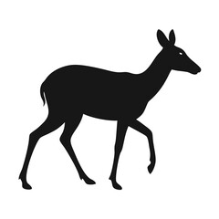 Obraz premium black silhouette of a dik-dik walking gracefully – perfect for wildlife-themed illustrations, eco-friendly branding, educational content, and nature-inspired art projects. 