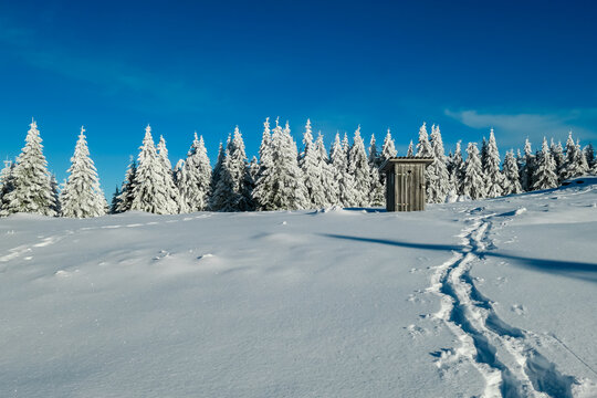 Tracks in snow leading to rustic wooden outhouse with heart-shaped cutout. Snowy field under blue sky, surrounded by snow-covered fir trees in Teufelstein, Styria, Austria. Remote Fischbach Alps - Powered by Adobe