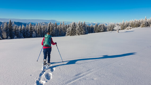 Hiker woman with backpack treks through pristine snow with ski poles and snow shoes. Trail across vast snowy plateau surrounded by snow-covered trees in Teufelstein, Austria. Wilderness Austrian Alps