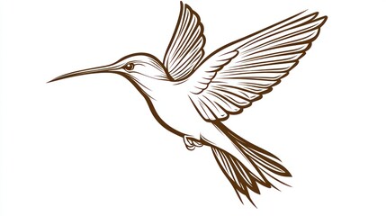 Obraz premium Elegant Flying Bird with Detailed Wings and Long Beak Perfect for Nature and Wildlife Themes