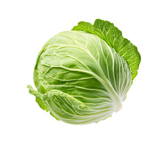 Obraz premium Fresh Green Cabbage: A vibrant and healthy vegetable, perfect for salads or cooking. This cabbage is a testament to nature's goodness. #HealthyEating
