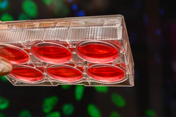 In the biological laboratory.