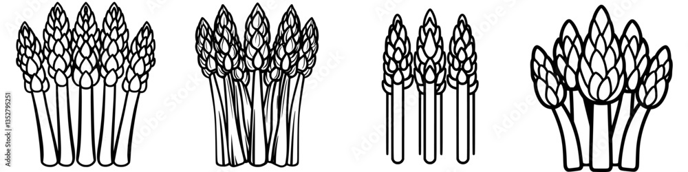 Poster illustrations of different styles of asparagus bunches in a simple graphic design format
