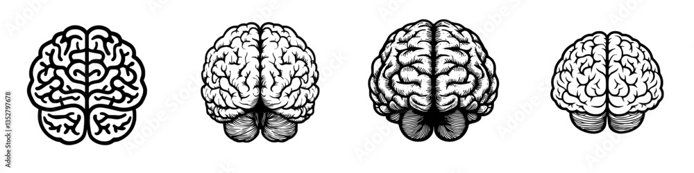 Poster detailed illustrations of human brain in different orientations and styles showcasing complexity and