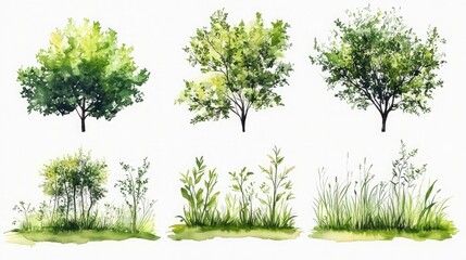 Vector watercolor green tree or forest side view isolated, set of grass, watercolor tree elevation for landscape concept.