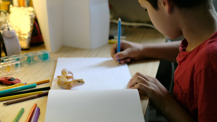 A gecko rests near a child sketching shapes on a blank page, surrounded by art supplies. This photo...